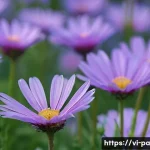 변리사 시험 주요 과목 정리 관련 이미지 1