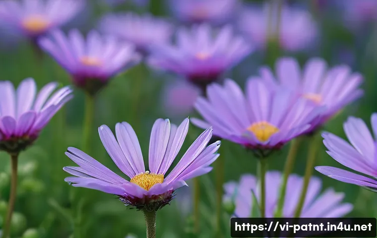 변리사 시험 주요 과목 정리 관련 이미지 1